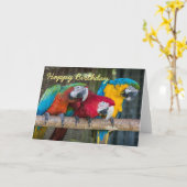 Birthday card three Macaw parrots Karte (Gelbe Blume)