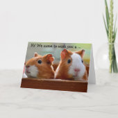 Birthday Card: Two Guinea Pigs Karte (Vorderseite)