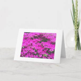 Birthday card with flowers karte