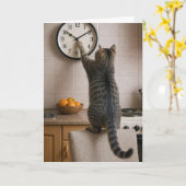 Birthday Cat for Getting Older Humor Karte (Gelbe Blume)