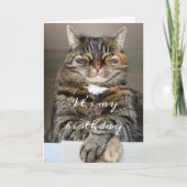 Birthday Cat Funny Tabby Grumpy Green Eyes Squint Karte (Vorderseite)