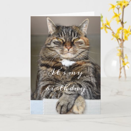 Birthday Cat Funny Tabby Grumpy Green Eyes Squint Karte (Gelbe Blume)