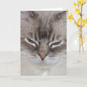 Birthday Cat Karte (Gelbe Blume)