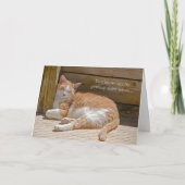 Birthday Cat Nickerchen Karte (Vorderseite)