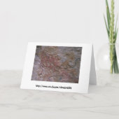 Birthday Caveman Karte (Rückseite)