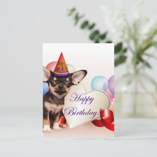 Birthday Chihuahua Hund Postkarte (Stehend Vorderseite)