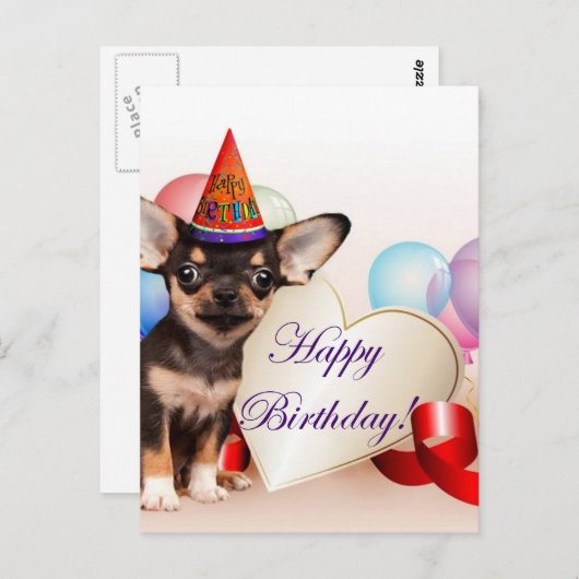 Birthday Chihuahua Hund Postkarte (Vorne/Hinten)