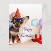 Birthday Chihuahua Hund Postkarte (Vorderseite)