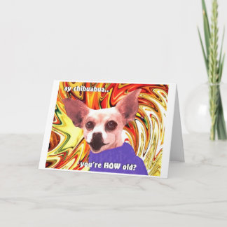 birthday chihuahua karte