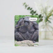 Birthday Chimpanze Party laden Einladung (Stehend Vorderseite)