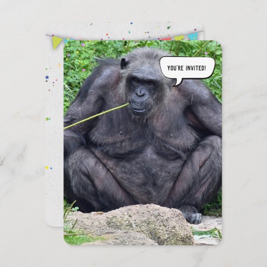 Birthday Chimpanze Party laden Einladung (Vorne/Hinten)