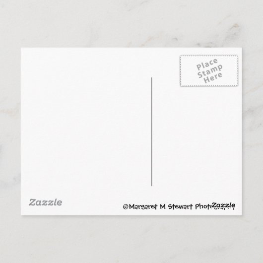 Birthday Chipmunk Postkarte (Rückseite)