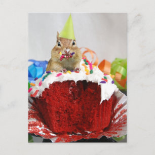 Birthday Chipmunk Postkarte