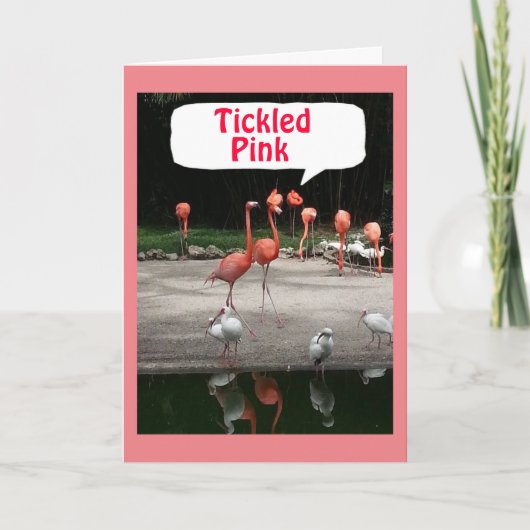 BIRTHDAY COMPLIMENT FLAMINGOS SIND "TICKLED PINK" KARTE (Vorderseite)