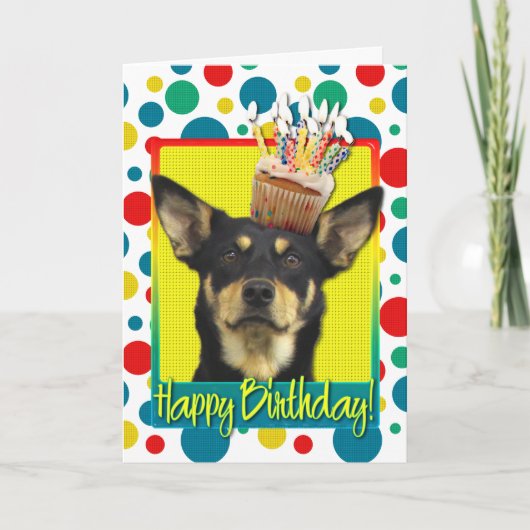 Birthday Cupcake - Australian Kelpie - Jude Karte (Vorderseite)