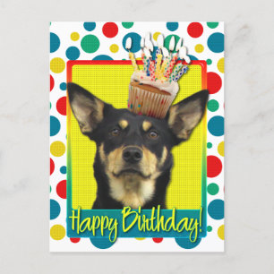 Birthday Cupcake - Australian Kelpie - Jude Postkarte