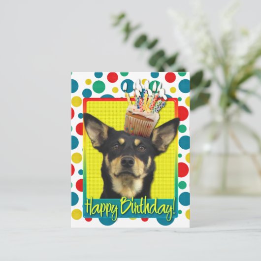 Birthday Cupcake - Australian Kelpie - Jude Postkarte (Stehend Vorderseite)