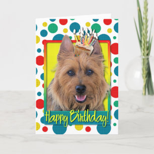 Birthday Cupcake - Australian Terrier Karte