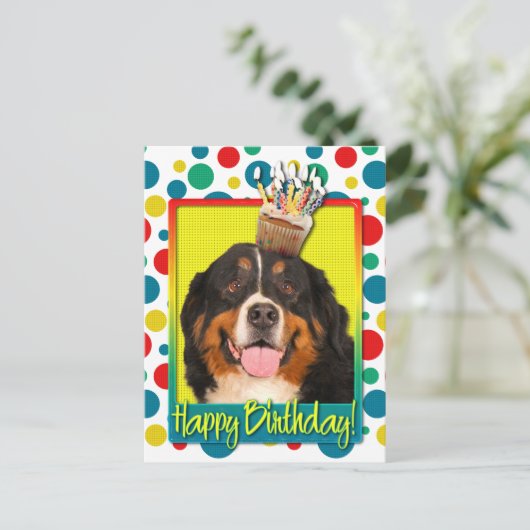 Birthday Cupcake - Bernese Mountain Dog Postkarte (Stehend Vorderseite)