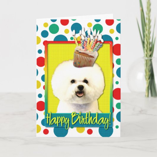 Birthday Cupcake - Bichon Frise Karte (Vorderseite)