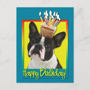 Birthday Cupcake - Boston Terrier Postkarte