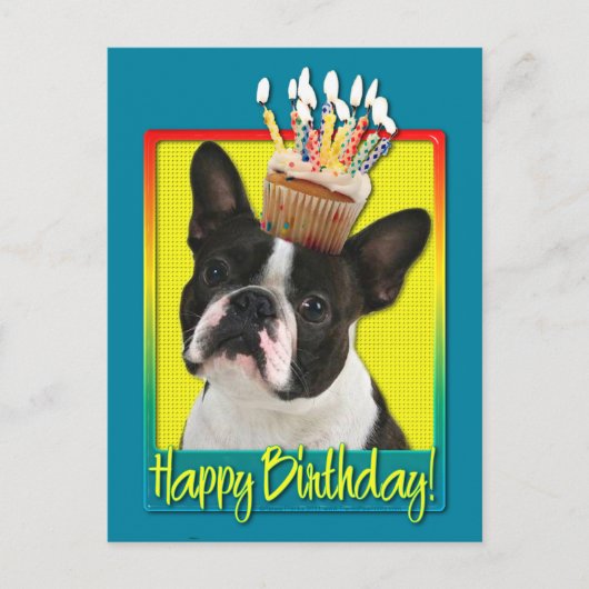Birthday Cupcake - Boston Terrier Postkarte (Vorderseite)