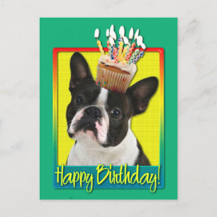 Birthday Cupcake - Boston Terrier Postkarte
