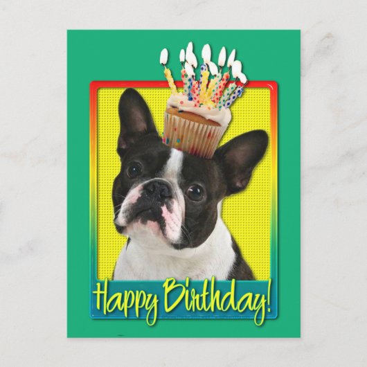 Birthday Cupcake - Boston Terrier Postkarte (Vorderseite)