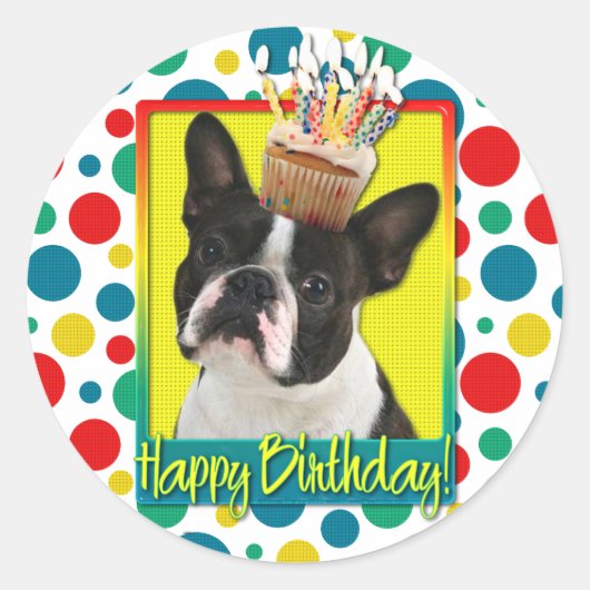 Birthday Cupcake - Boston Terrier Runder Aufkleber (Vorderseite)