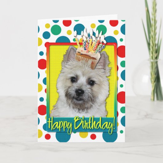 Birthday Cupcake - Cairn Terrier - Teddy Bear Karte (Vorderseite)
