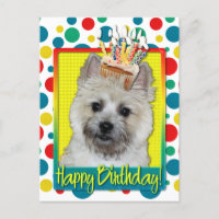 Birthday Cupcake - Cairn Terrier - Teddy Bear