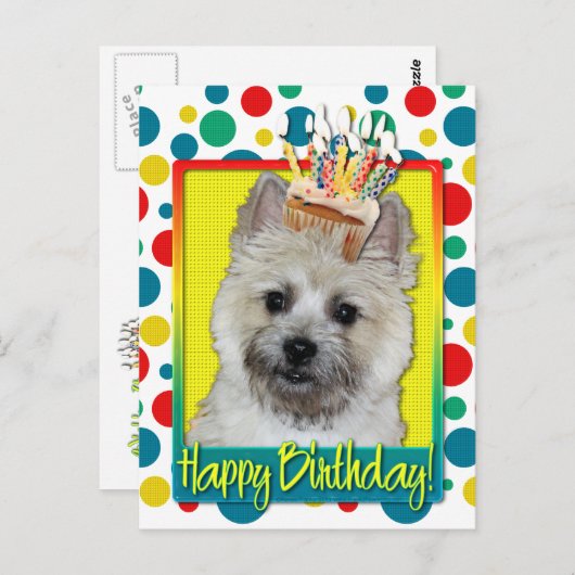 Birthday Cupcake - Cairn Terrier - Teddy Bear Postkarte (Vorne/Hinten)