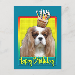 Birthday Cupcake - Cavalier - Blenheim Postkarte