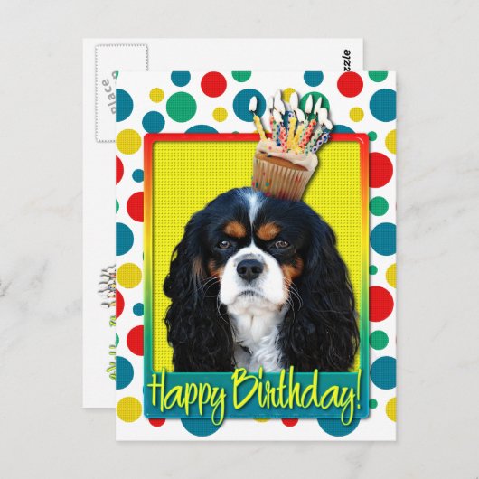 Birthday Cupcake - Cavalier - Tri-Color Postkarte (Vorne/Hinten)