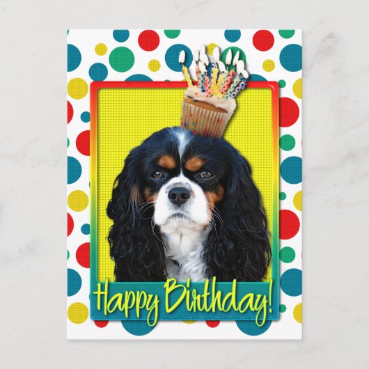 Birthday Cupcake - Cavalier - Tri-Color Postkarte (Vorderseite)