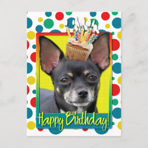 Birthday Cupcake - Chihuahua - Isabella Postkarte