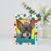 Birthday Cupcake - Chihuahua - Isabella Postkarte (Stehend Vorderseite)