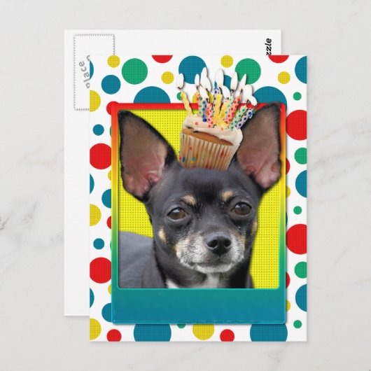 Birthday Cupcake - Chihuahua - Isabella Postkarte (Vorne/Hinten)