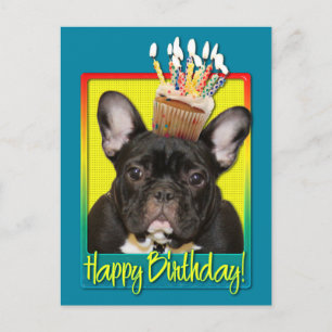 Birthday Cupcake - French Bulldog - Aquamarin Postkarte
