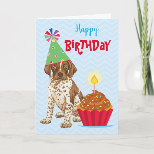 Birthday Cupcake German Shororthary Pointer Karte (Vorderseite)