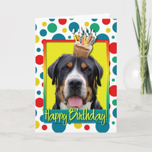 Birthday Cupcake - Greater Swiss Mountain Hund Karte (Vorderseite)