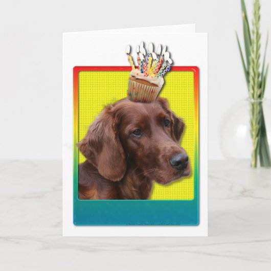 Birthday Cupcake - Irish Setter Karte (Vorderseite)