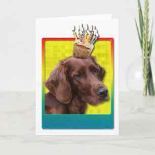 Birthday Cupcake - Irish Setter Karte