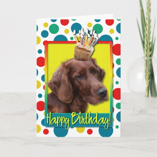 Birthday Cupcake - Irish Setter Karte (Vorderseite)