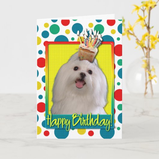 Birthday Cupcake - Maltesisch Karte (Gelbe Blume)