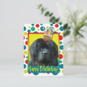 Birthday Cupcake - Neufundland Postkarte (Stehend Vorderseite)