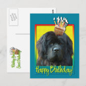 Birthday Cupcake - Neufundland Postkarte (Vorne/Hinten)