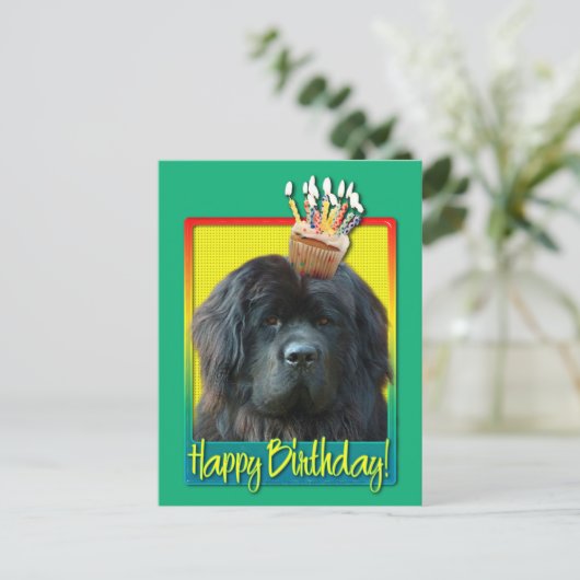 Birthday Cupcake - Neufundland Postkarte (Stehend Vorderseite)