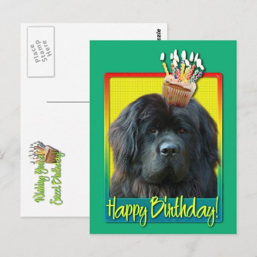 Birthday Cupcake - Neufundland Postkarte (Vorne/Hinten)