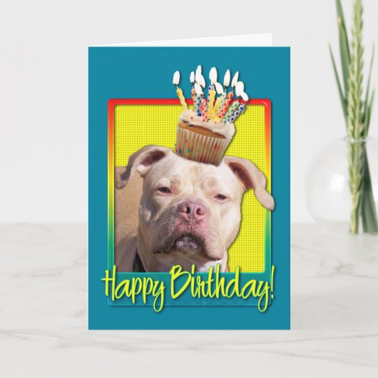 Birthday Cupcake - Pitbull - Jersey Girl Karte (Vorderseite)